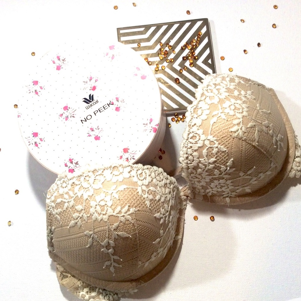 Wacoal Embrace Lace Push Up Bra and No Peek Liners